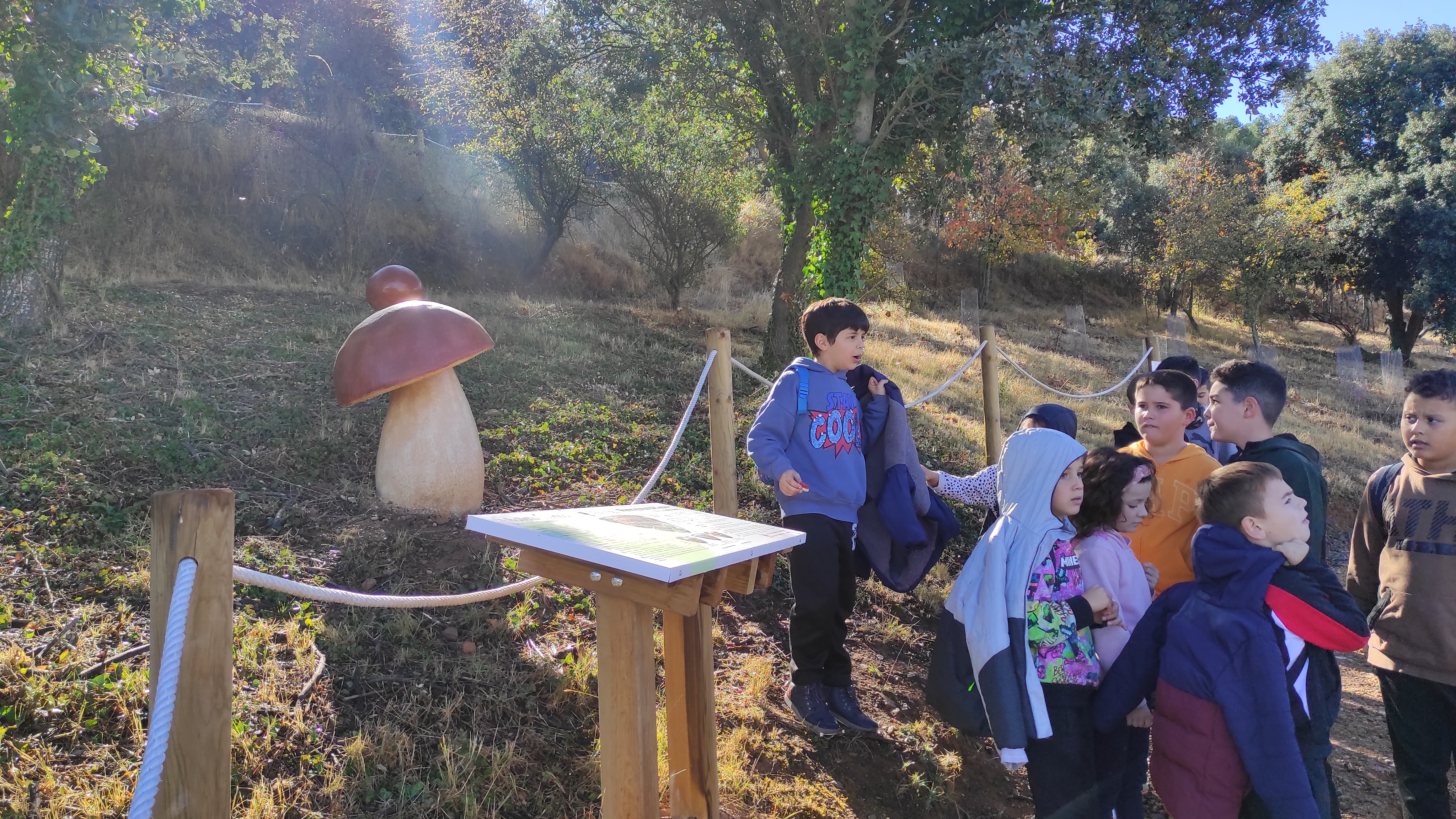 Copia de IMG_20251030_113502.jpg